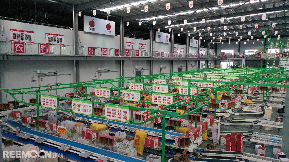 6月11日，走進洛川縣蘋果現(xiàn)代產(chǎn)業(yè)園區(qū)，在延安自然搭檔農業(yè)發(fā)展有限公司智能分選車間，機械轟鳴，人頭攢動，幾十名工人有條不紊地在分選線上忙碌著。一個個色澤紅潤、大小勻稱的蘋果，正通過圓形硅膠托盤運上智能選果線，經(jīng)過檢測通道依次歸位，按照重量、甜度等被分成數(shù)個等級。工人們麻利地把分級后蘋果擺放至果箱內，進行